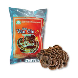 Dược liệu Nấm Vân Chi Khô Nguyên Tai hỗ trợ miễn dịch, tăng hiệu quả hỗ trợ ung thư (Túi 100g)