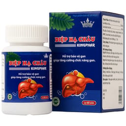 DIỆP HẠ CHÂU KINGPHAR 60V