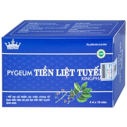 PYGEUM TIỀN LIỆT TUYẾN KINGPHAR 4X10