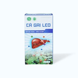 Thực phẩm bảo vệ sức khỏe Dược Nam cà gai leo (Hộp 60 viên) hỗ trợ giải độc gan
