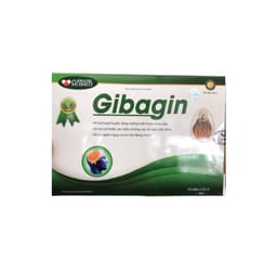 Thực phẩm bảo vệ sức khoẻ Gibagin (hộp 60 viên )