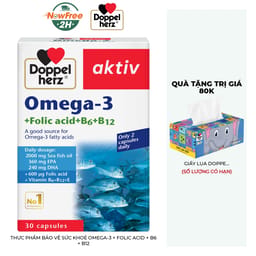 Thực Phẩm Bảo Vệ Sức Khoẻ Omega-3 + Folic Acid + B6 + B12