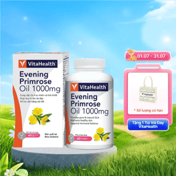Thực phẩm bảo vệ sức khoẻ VitaHealth Evening Primrose Oil 1000mg hỗ trợ cân bằng nội tiết tố (Hộp 60 viên)