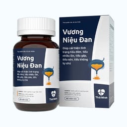 VIÊN UỐNG GIẢM TIỂU ĐÊM VƯƠNG NIỆU ĐAN THÁI MINH 2X10