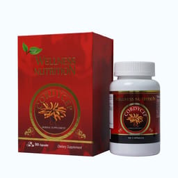 Wellness Nutrition Cordyceps Đông Trùng Hạ Thảo (Hộp 90 viên)