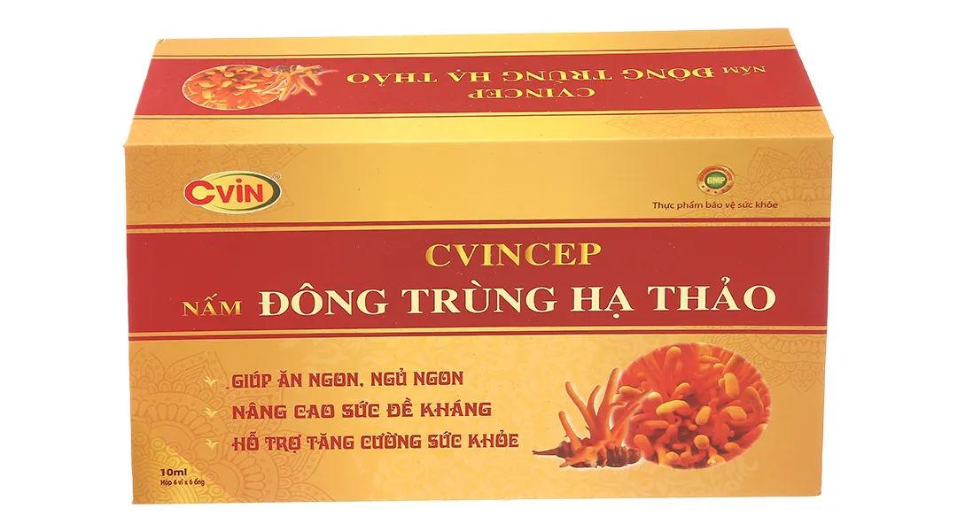 Cvincep hộp 20 ống 3