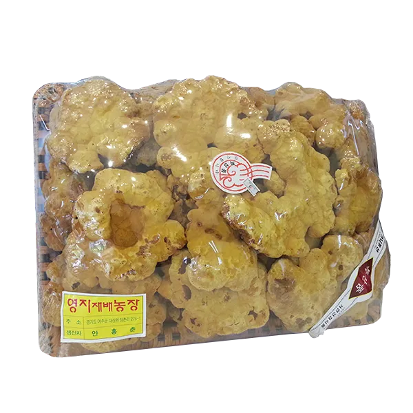 Nấm linh chi thượng hoàng núi Royal Korea Phellinus Linteus Mushroom