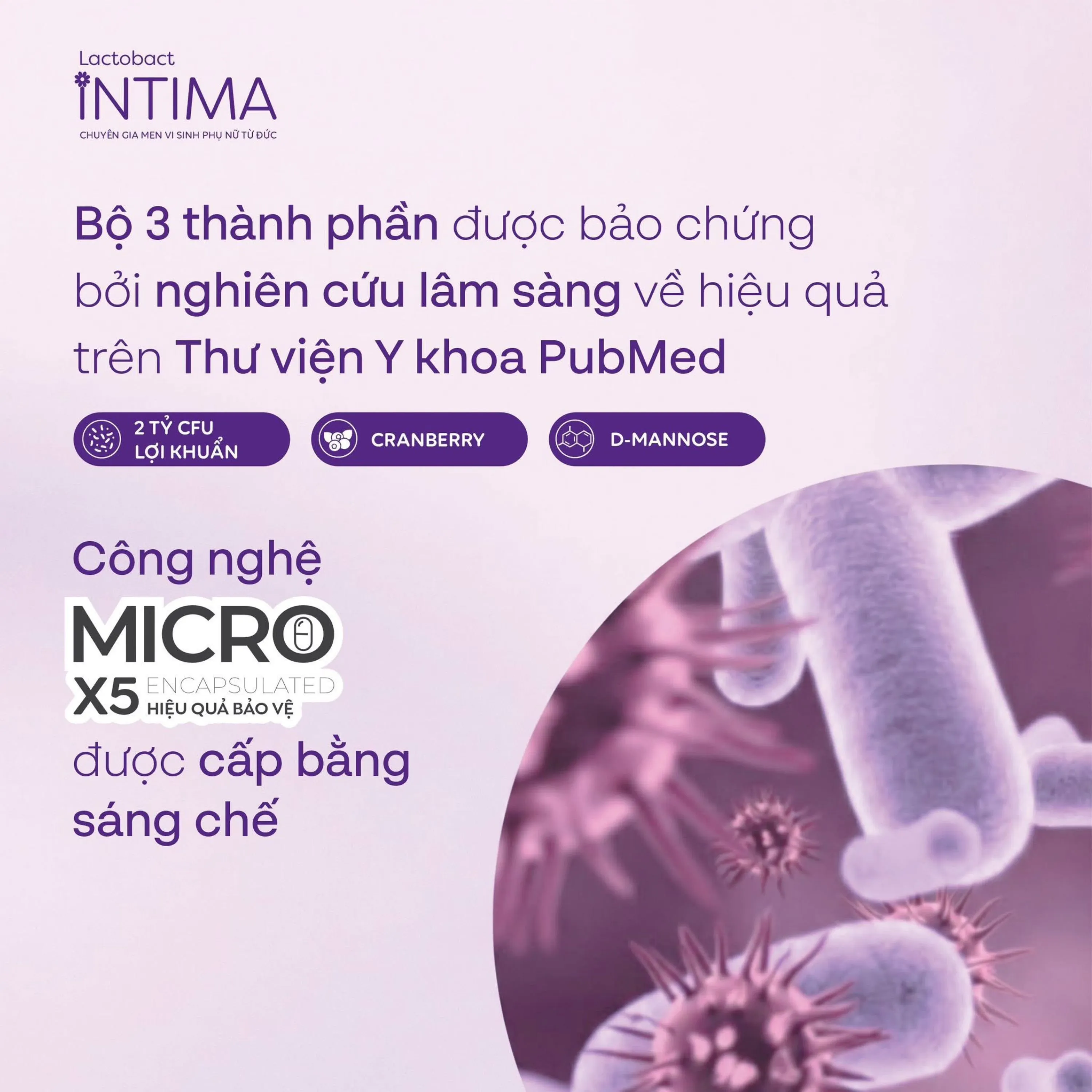 VIÊN UỐNG BỔ SUNG LỢI KHUẨN CHO PHỤ NỮ LACTOBACT INTIMA 60V 4