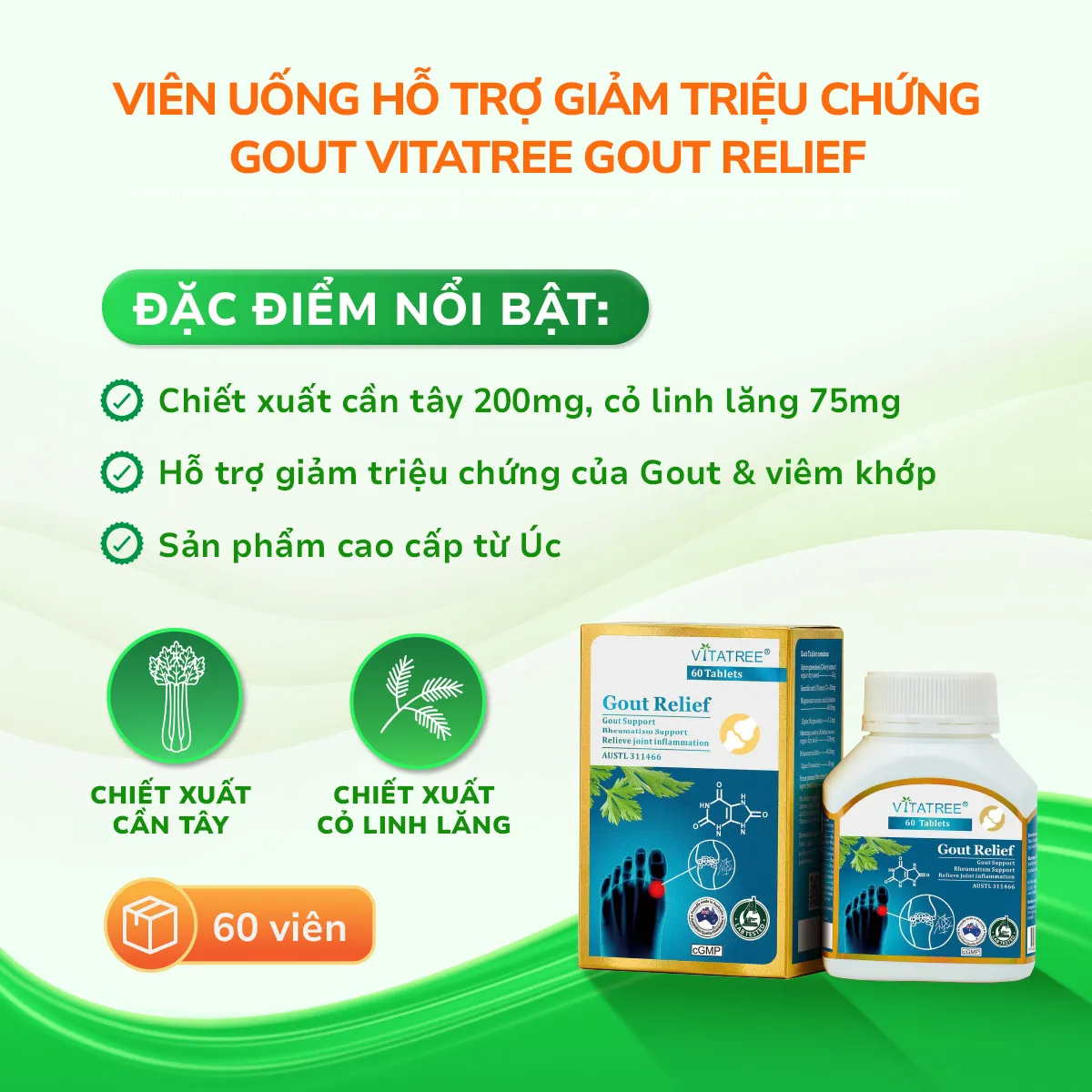 Viên uống Gout Relief Vitatree hỗ trợ giảm triệu chứng gout và viêm khớp (Hộp 60 viên) 2