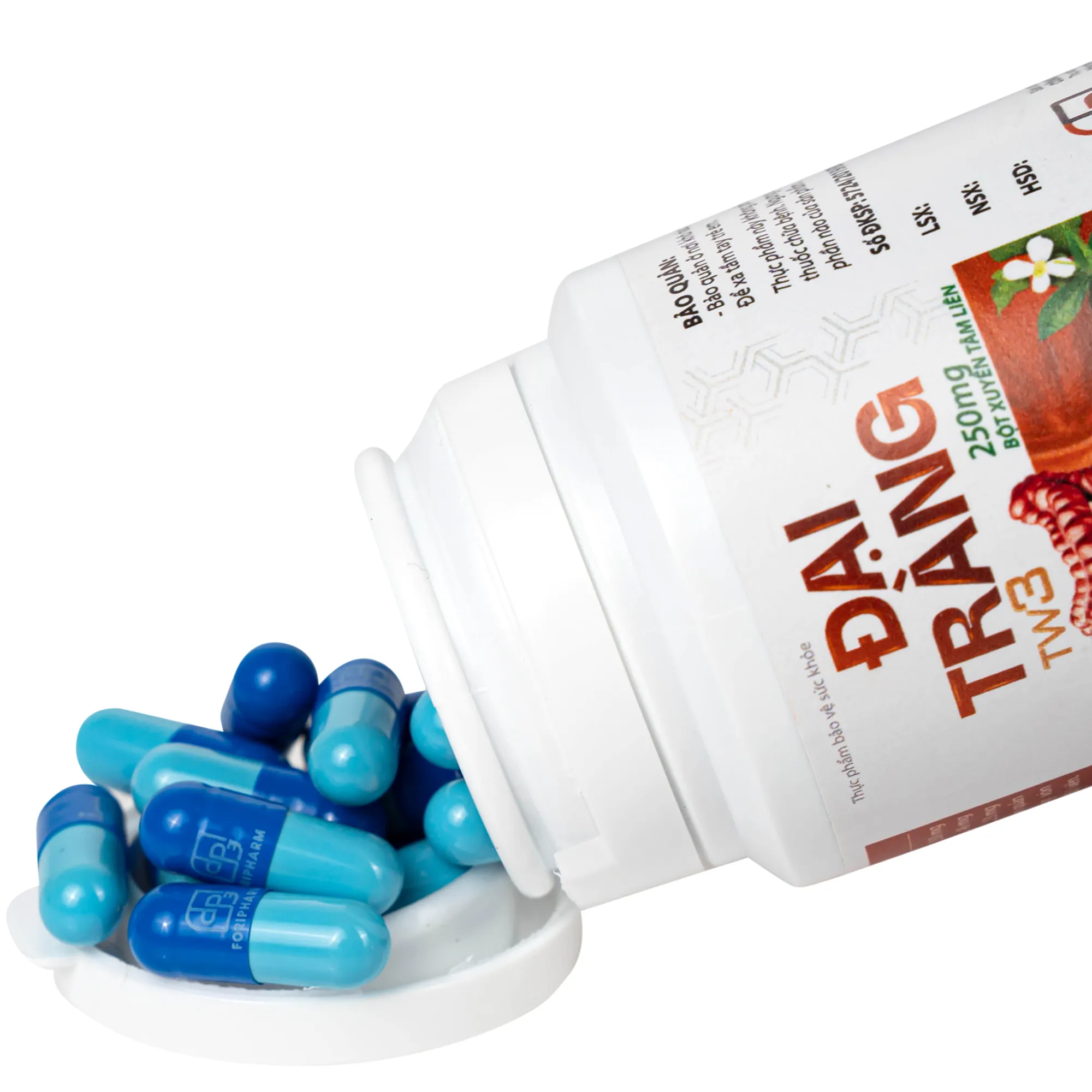 VIÊN UỐNG HỖ TRỢ LÀM GIẢM CÁC TRIỆU CHỨNG VIÊM ĐẠI TRÀNG, TĂNG CƯỜNG TIÊU HOÁ ĐẠI TRÀNG TW3 FORIPHARM 60V 6