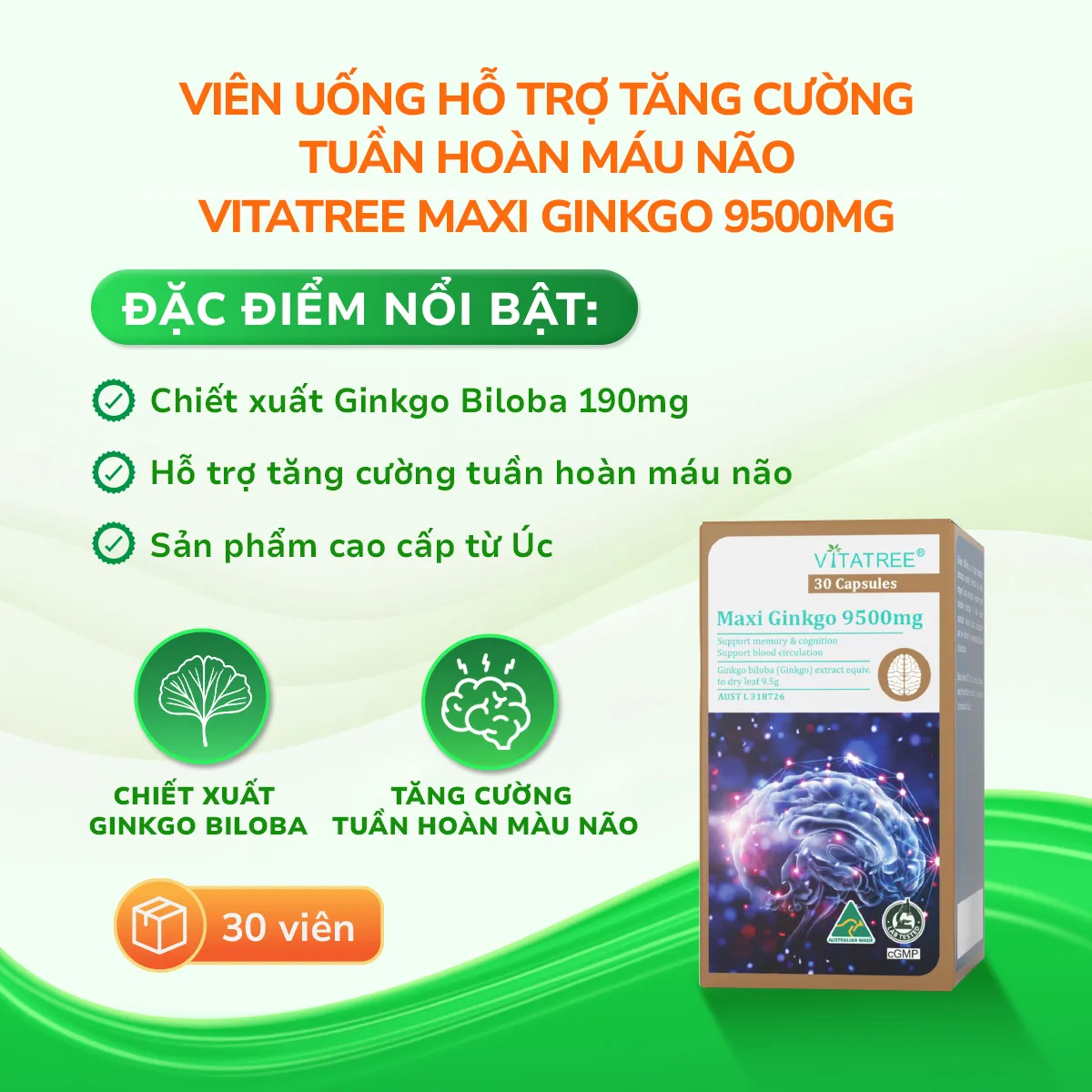 Viên uống Maxi Ginkgo 9500mg Vitatree hỗ trợ tăng cường tuần hoàn máu não (Hộp 30 viên) 2