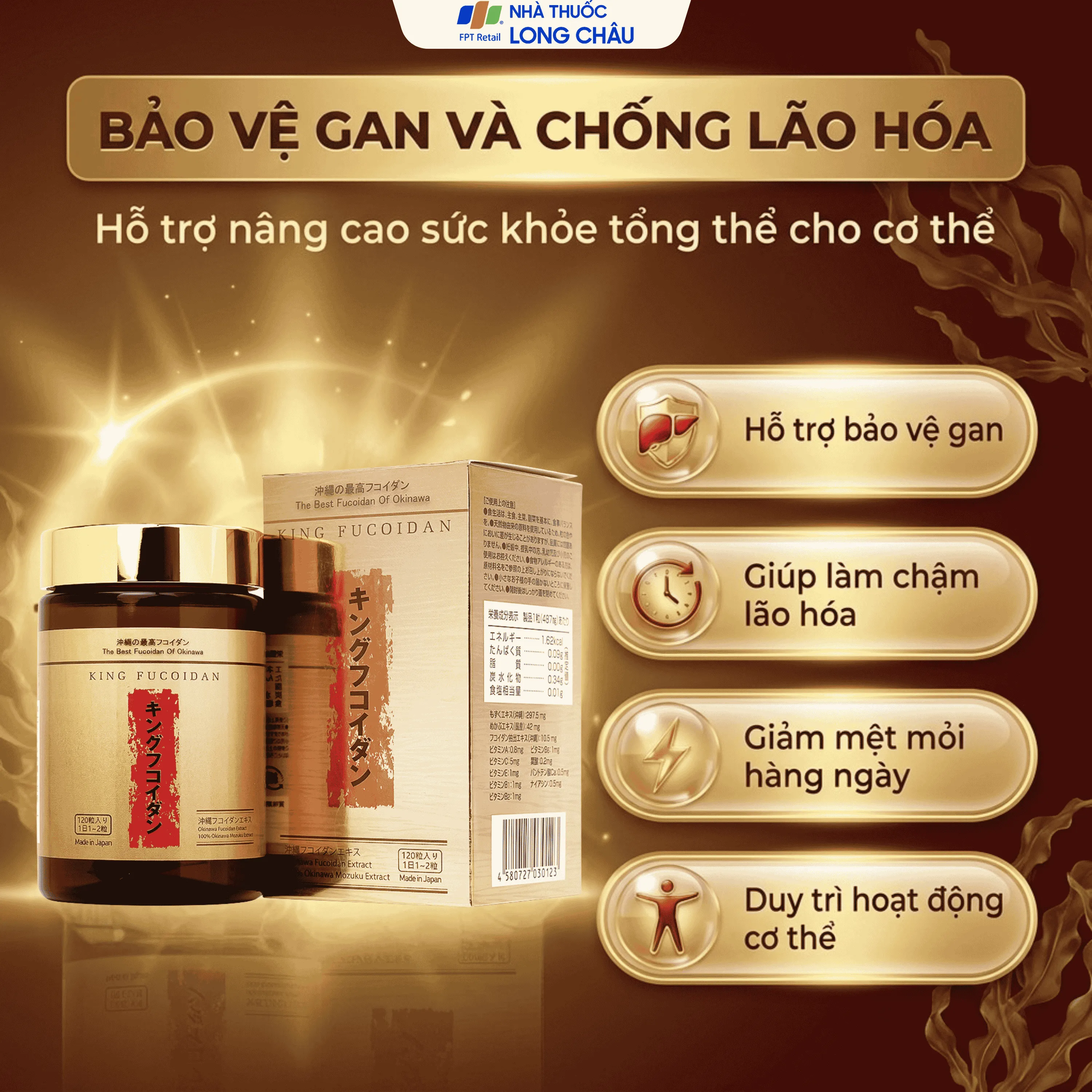 King Fucoidan Jpanwell Hỗ trợ tăng cường sức đề kháng, bảo vệ gan và chống lão hóa 2